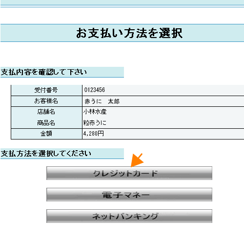 クレジットカードのボタンを押す
