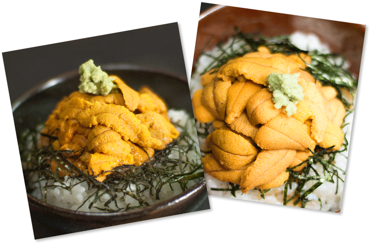 �E�j�Ɩ��p�̂��ē�